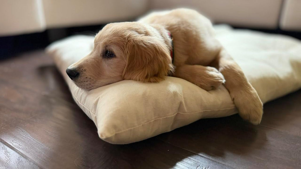Rectangular Muslin Dog Bed Insert with Raw Cotton Filler, Natural Pet Bed Cushion Insert, Breathable Inner Pillow for Do