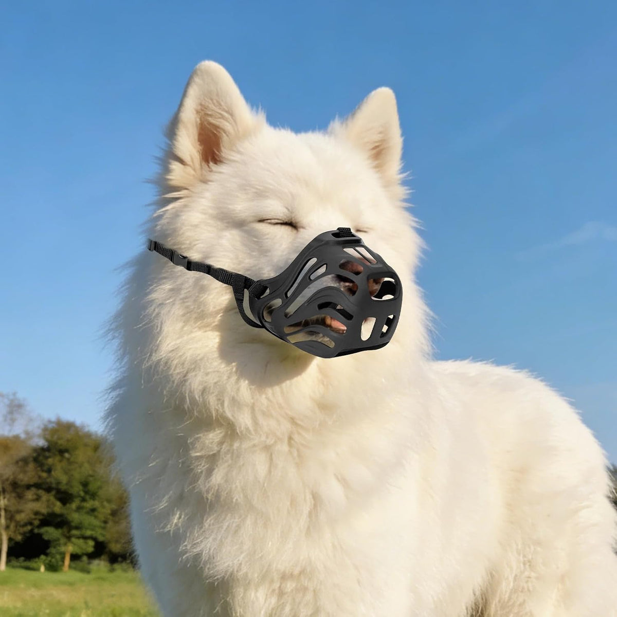 Dog Muzzle Size 7 for Small Medium Large Dogs Anti-Bite