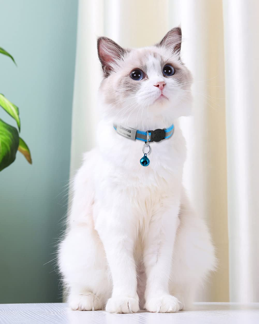 TagME 2 Pack Breakaway Cat Collar, Reflective, Name Tag for Kitten, SkyBlue