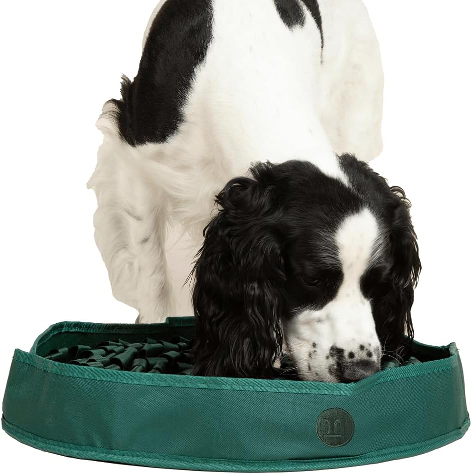 Reggie Snuffle Mat for Dogs, for Calming Support, Reducing Speed Eating, and Mental Stimulation, Durable & Easy to Clean