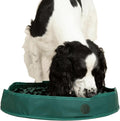Reggie Snuffle Mat for Dogs, for Calming Support, Reducing Speed Eating, and Mental Stimulation, Durable & Easy to Clean