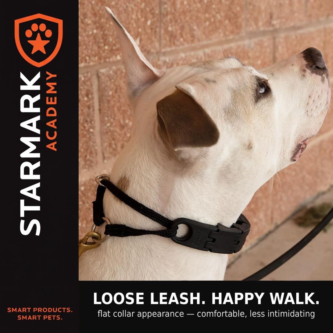 Starmark Pro-Training Dog Collar Large 21-inch, Humane No-Pull