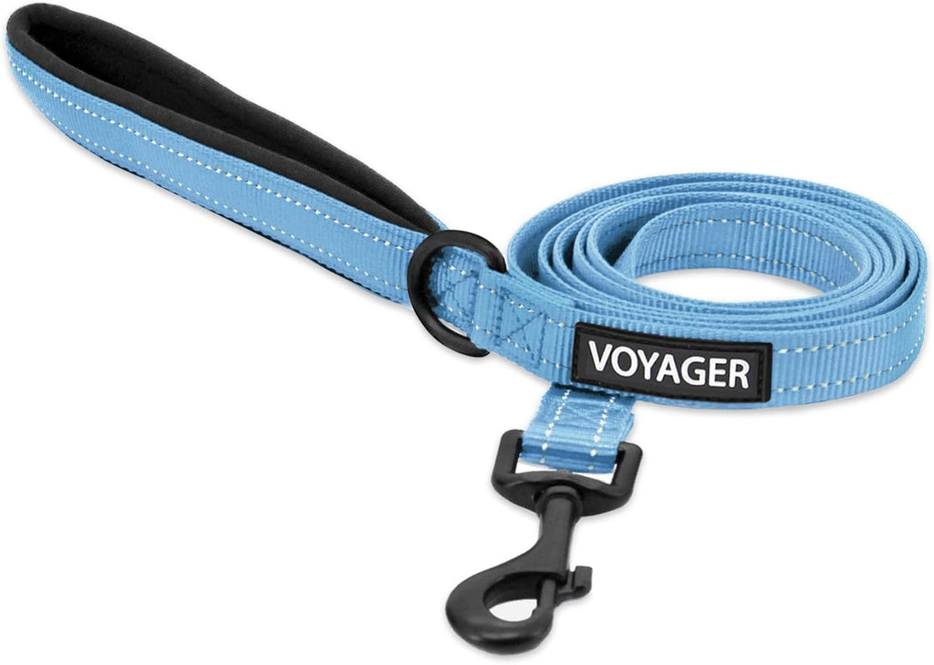Best Pet Supplies Voyager Dog Collar Safety Clip with Dual Clasps, Collars and No Pull Harness Connectors, Training for 
