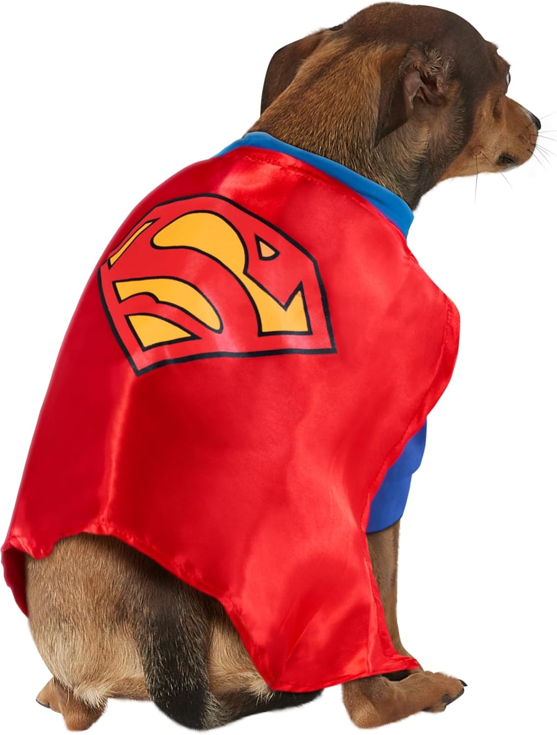 DC Comics Superheroes: Superman Pet Costume for For Dogs or Cats by Rubies, Medium