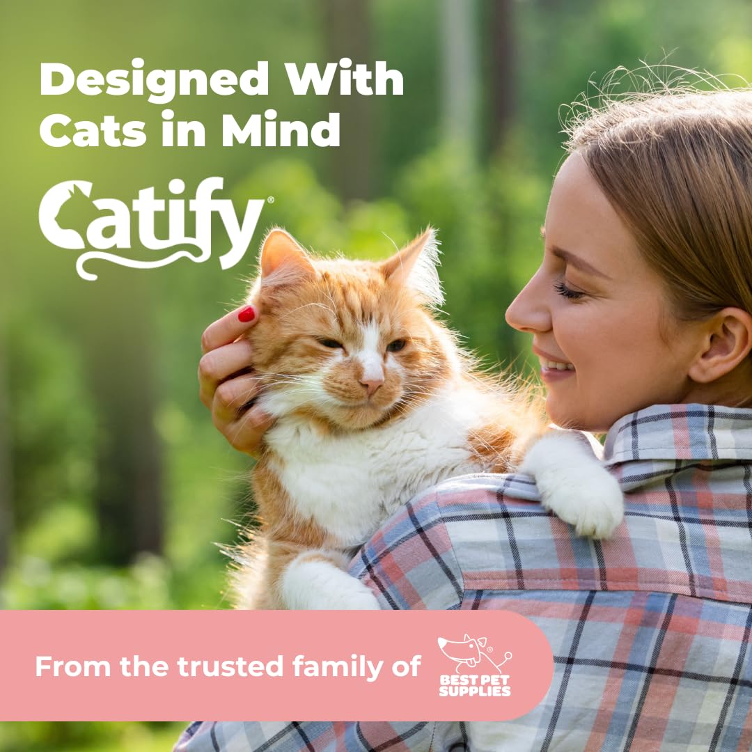 Catify Spin n' Scratch Cat Scratch Pad Refill - Round, 5-Pack