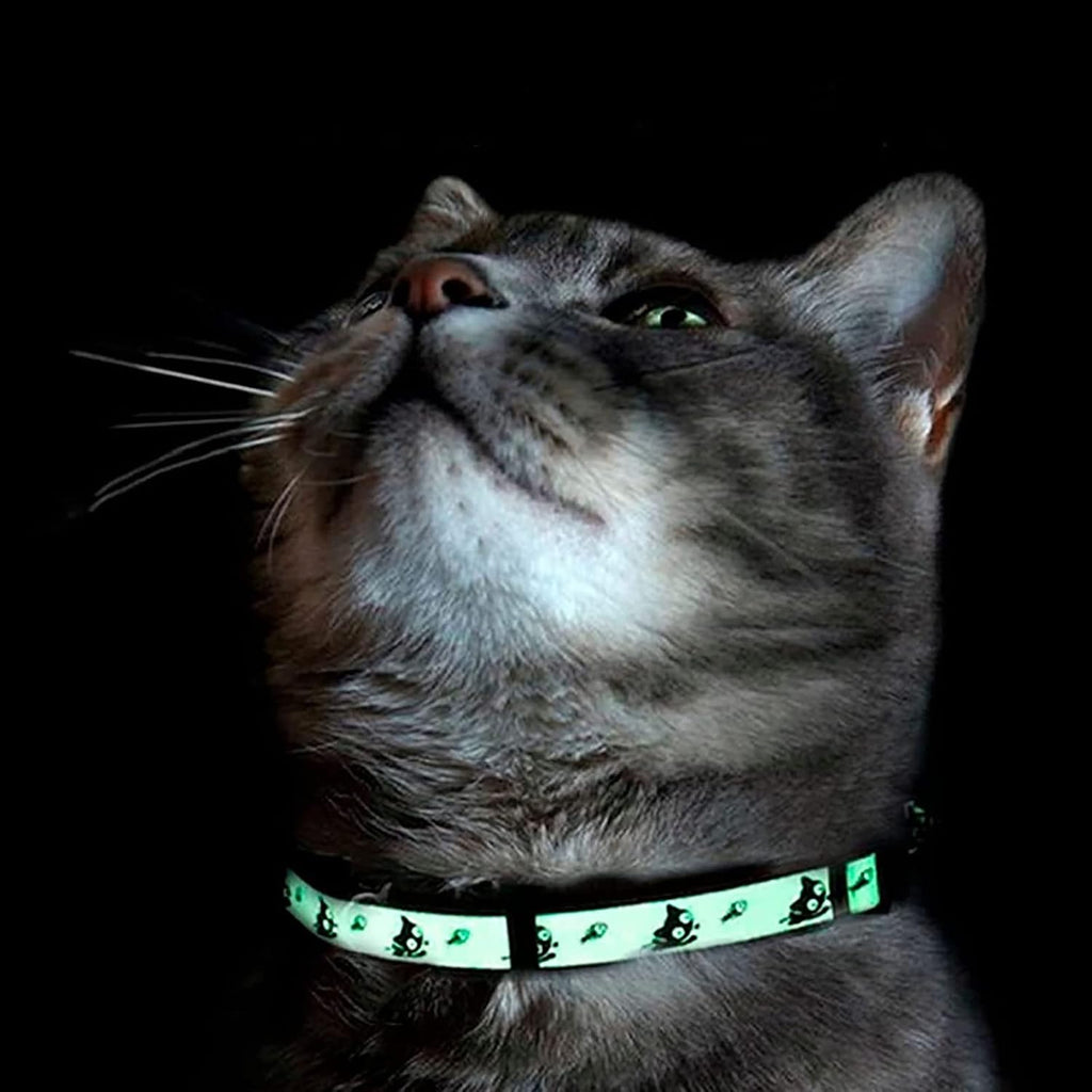 Pawtitas Glow in the Dark Cat Collar with Breakaway Safety Buckle & Bell Adjustable Kitten Collar, Pink