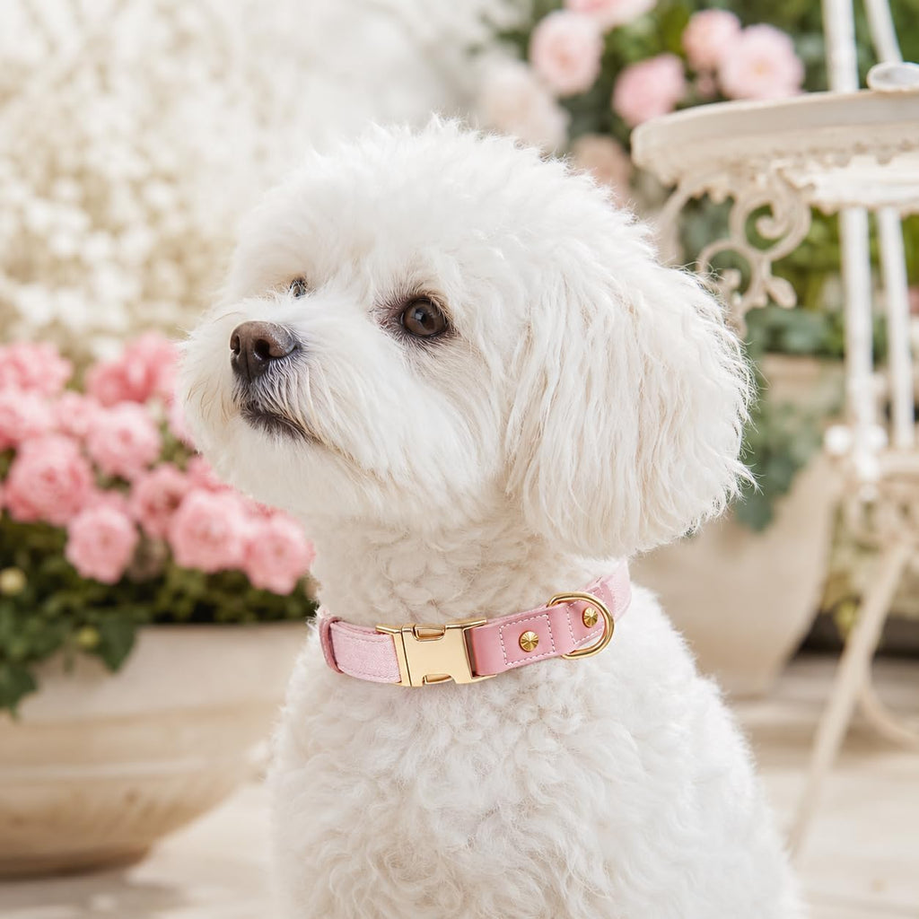 PU Leather Dog Collars for Small Dogs,Classic Adjustable Pink Dog Collars with Quick Release Metal Buckle,Easy Clean and