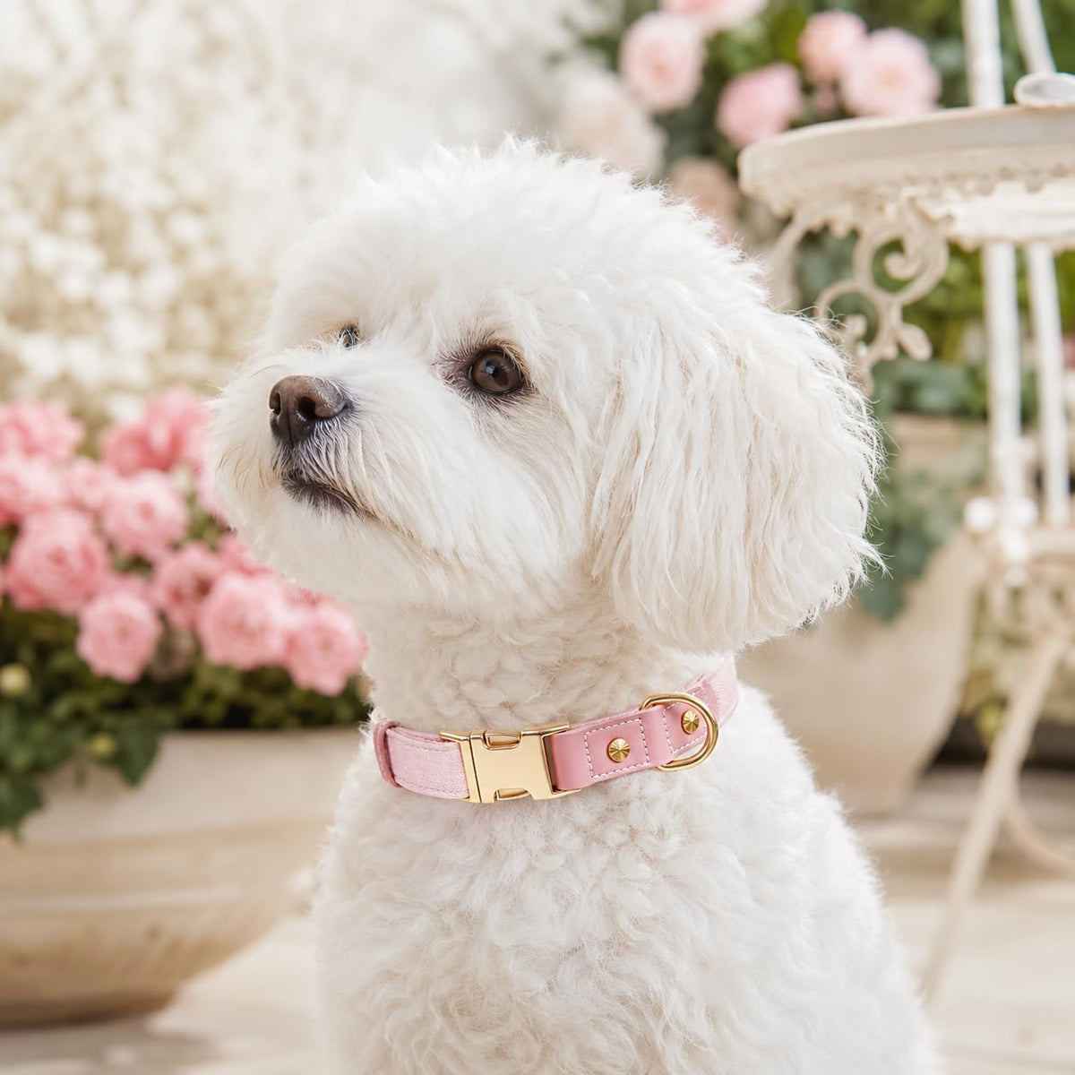 PU Leather Dog Collars for Small Dogs,Classic Adjustable Pink Dog Collars with Quick Release Metal Buckle,Easy Clean and