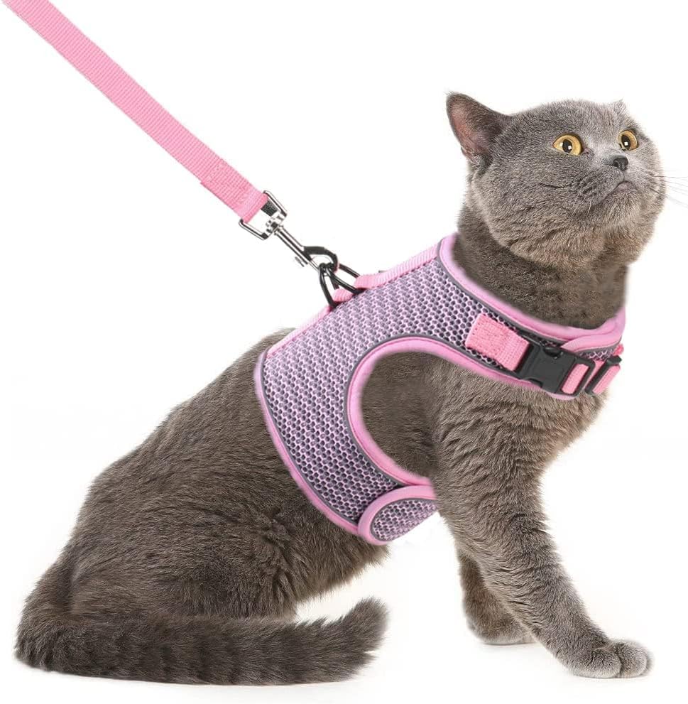 PUPTECK Soft Mesh Cat Vest Harness and Leash Set Puppy Padded Pet Harnesses Escape Proof for Cats Small Dogs Rabbits Bun