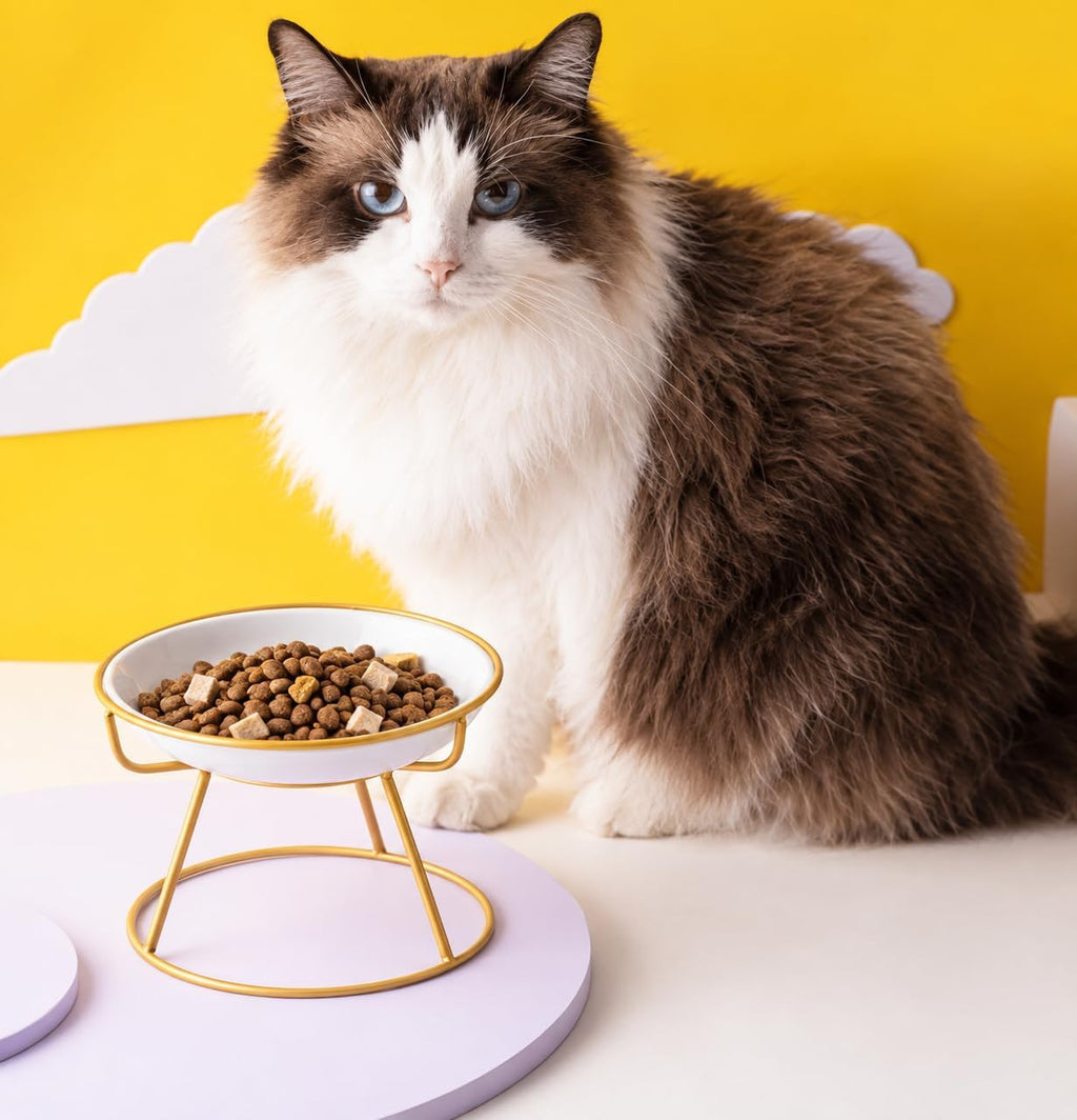 Elevated Ceramic Cat Bowl with Stand