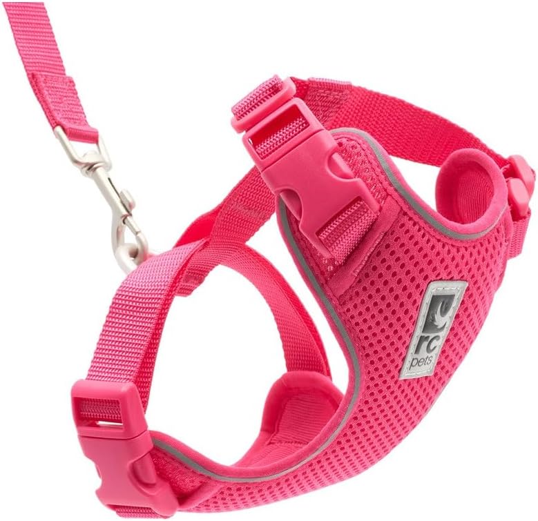 RC Pets Adventure Kitty Harness, 6ft Leash, Small, Multi Stripes