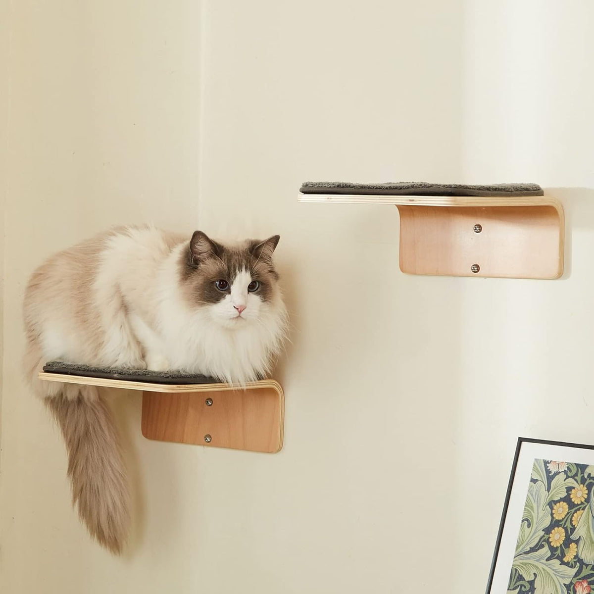2 Set Cat Wall Steps - Wooden Cat Climbing Shelf for Wall - Cats Wall Stairs with Scratching Mat - Wall Mounted Cats Fur