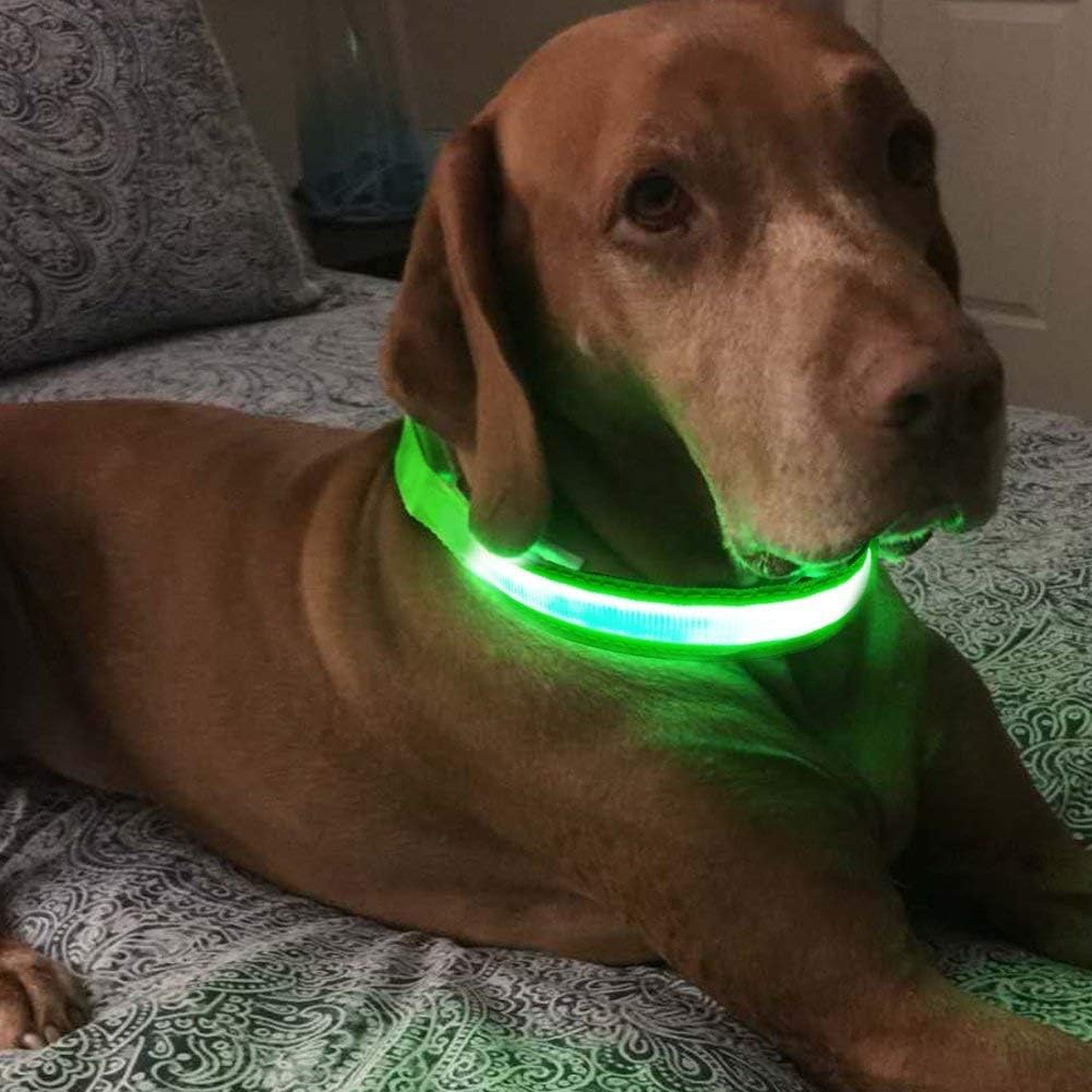 LED Dog Collar - Light Up Dog Collars Rechargeable - Waterproof Night Walking Glowing Dog Collar for Small, Medium, Larg