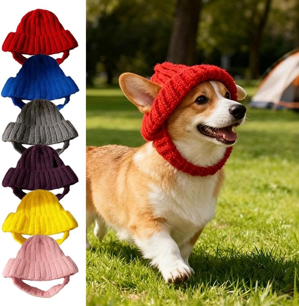 Dog Beanie Hat with Ear Holes, Winter Pet Cap for Small Dogs
