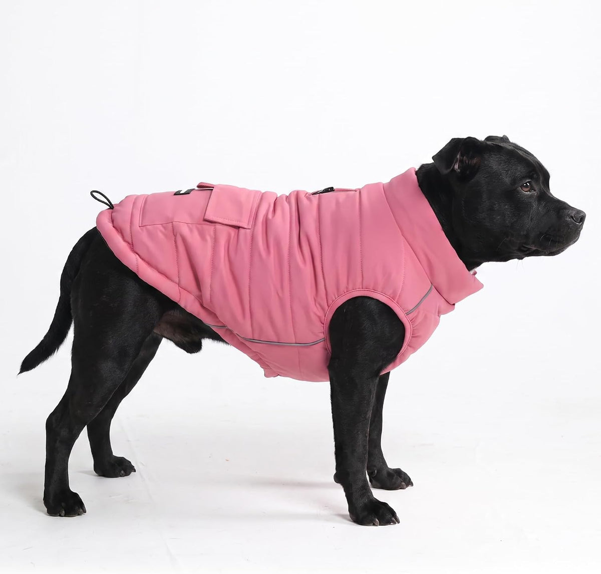 Spark Paws Dog Winter Coat Jacket - Warm Dog Clothes for Small Large Dogs