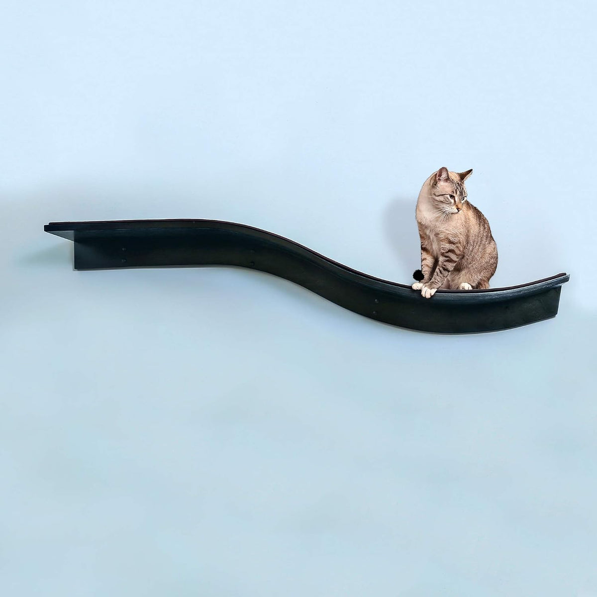 THE REFINED FELINE 60 Inch Lotus Branch Cat Shelf in Black Ebony with Replaceable Carpet, Playing, Climbing, & Lounging 