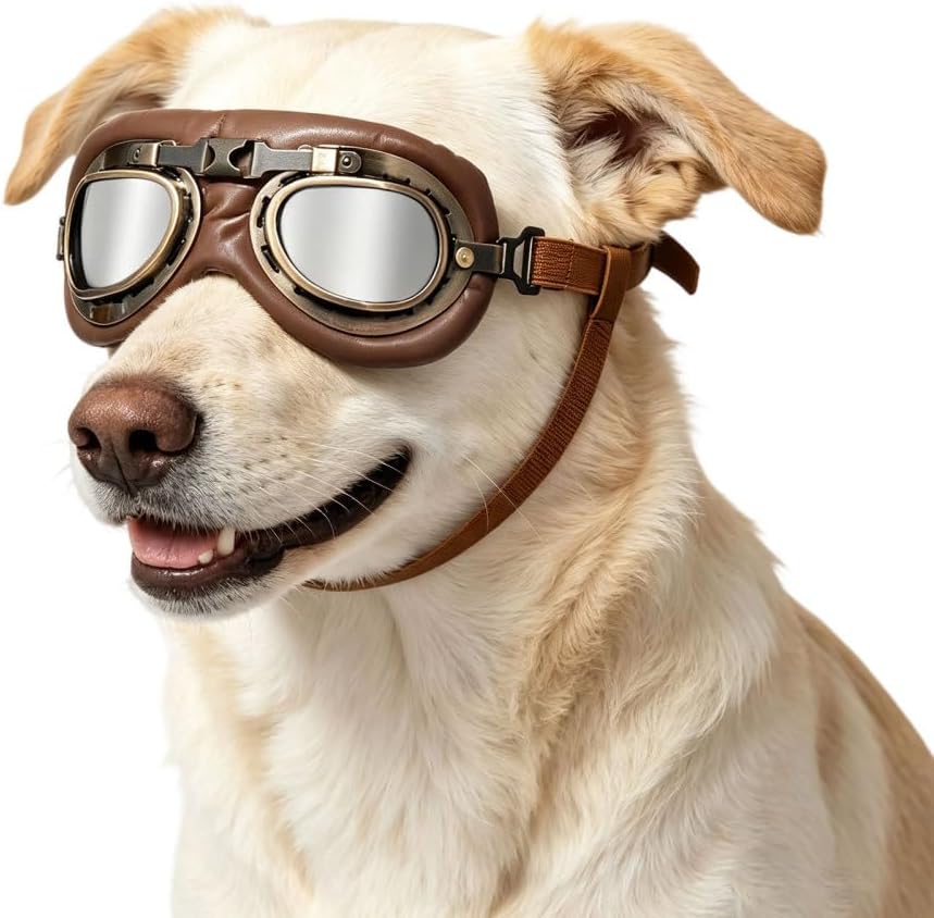 Retro Dog Aviator Sunglasses, Pet Goggles for Medium Large Dogs