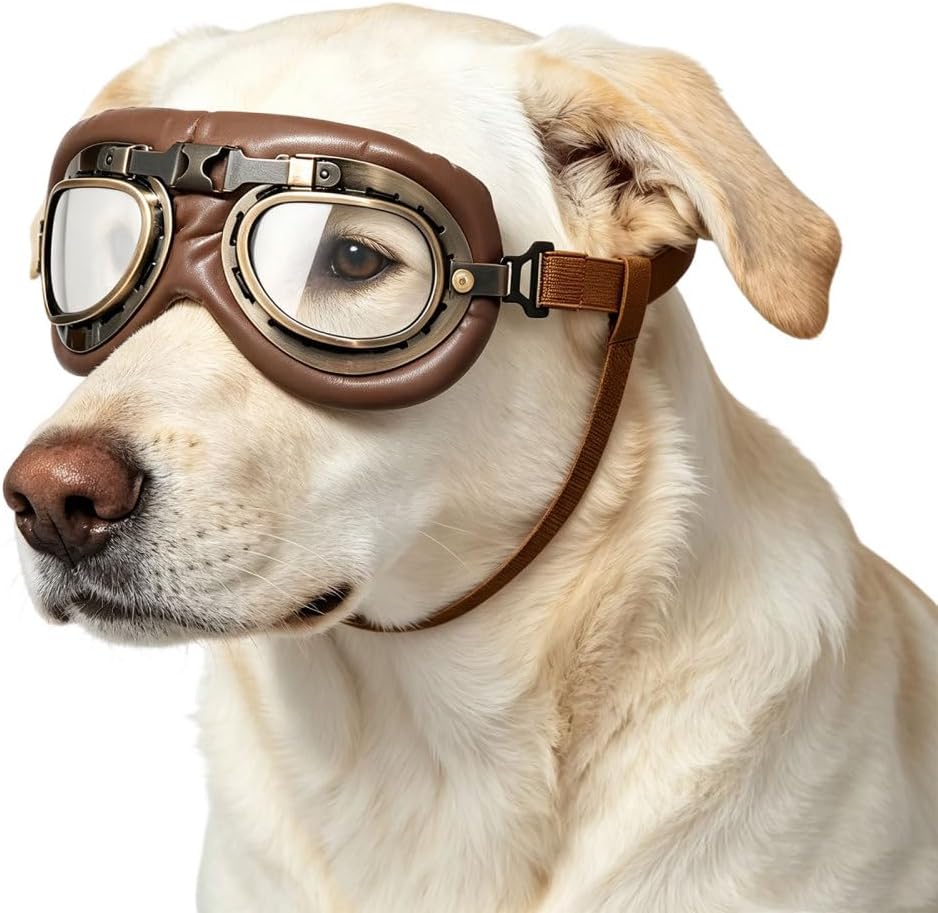 Retro Dog Aviator Sunglasses, Pet Goggles for Medium Large Dogs