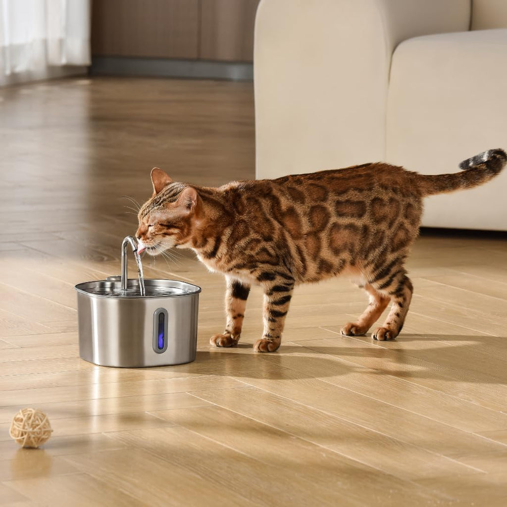 KittySpout Stainless Steel Cat Water Fountain Automatic Drinking Fountain, Quiet Circulating Water Bowl, Dishwasher Safe