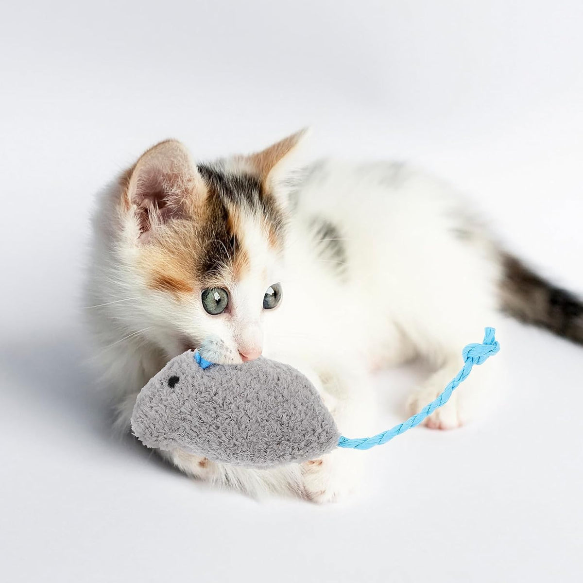 ARTIBETTER 5pcs Plush Mouse Cat for Kittens Indoor Interactive Play