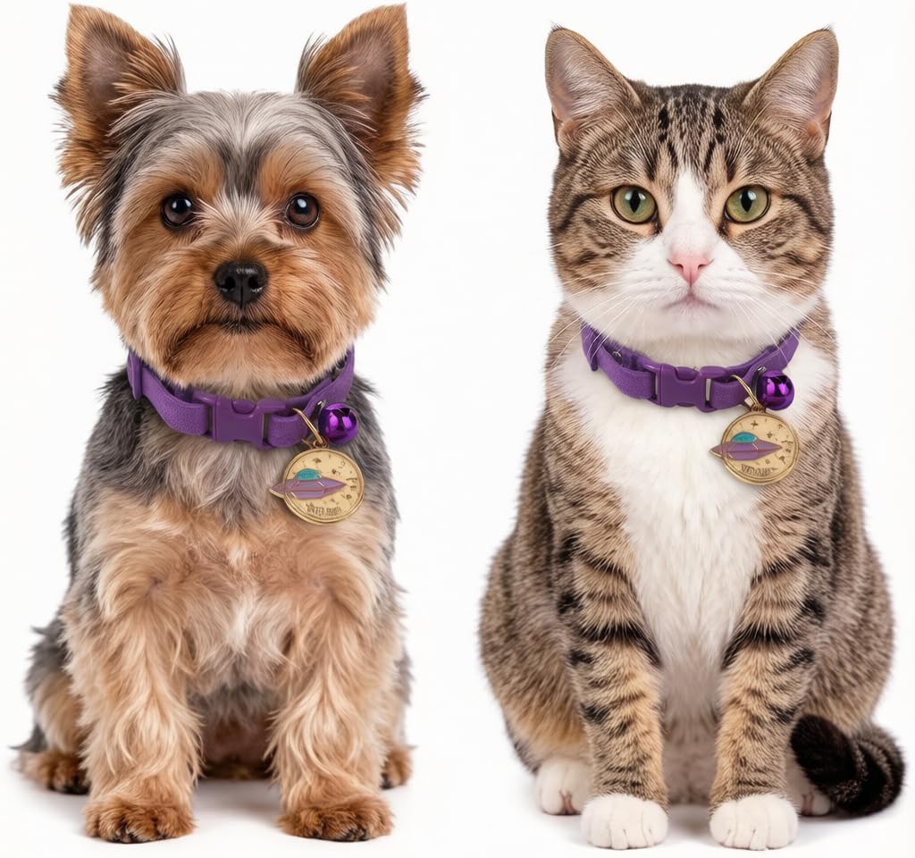 Cat Collar with Bell Pretty Girl Kitten Collar with Bells, Dark Purple XXS
