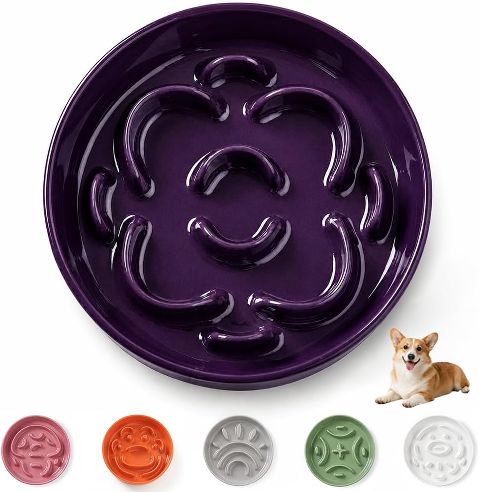 Raised Ceramic Slow Feeder Dog Bowls(0.8 Cups) with Dog Water Dish(700ML)