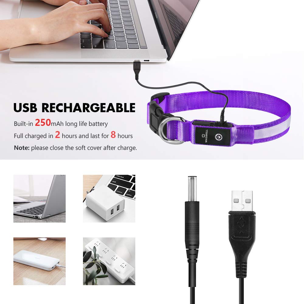 MASBRILL Light Up Dog Collar - LED Dog Collar Rechargeable Waterproof Night Walking Glow Collar for Dogs (M, Purple)
