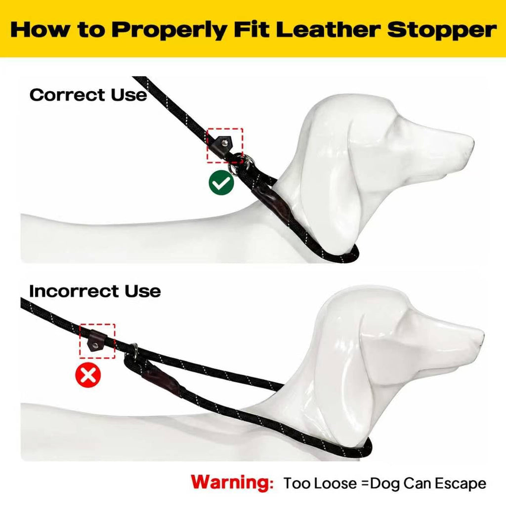 Fida Durable Slip Lead Dog Leash, 6 FT x 1/2" Dog Training Leash, Black