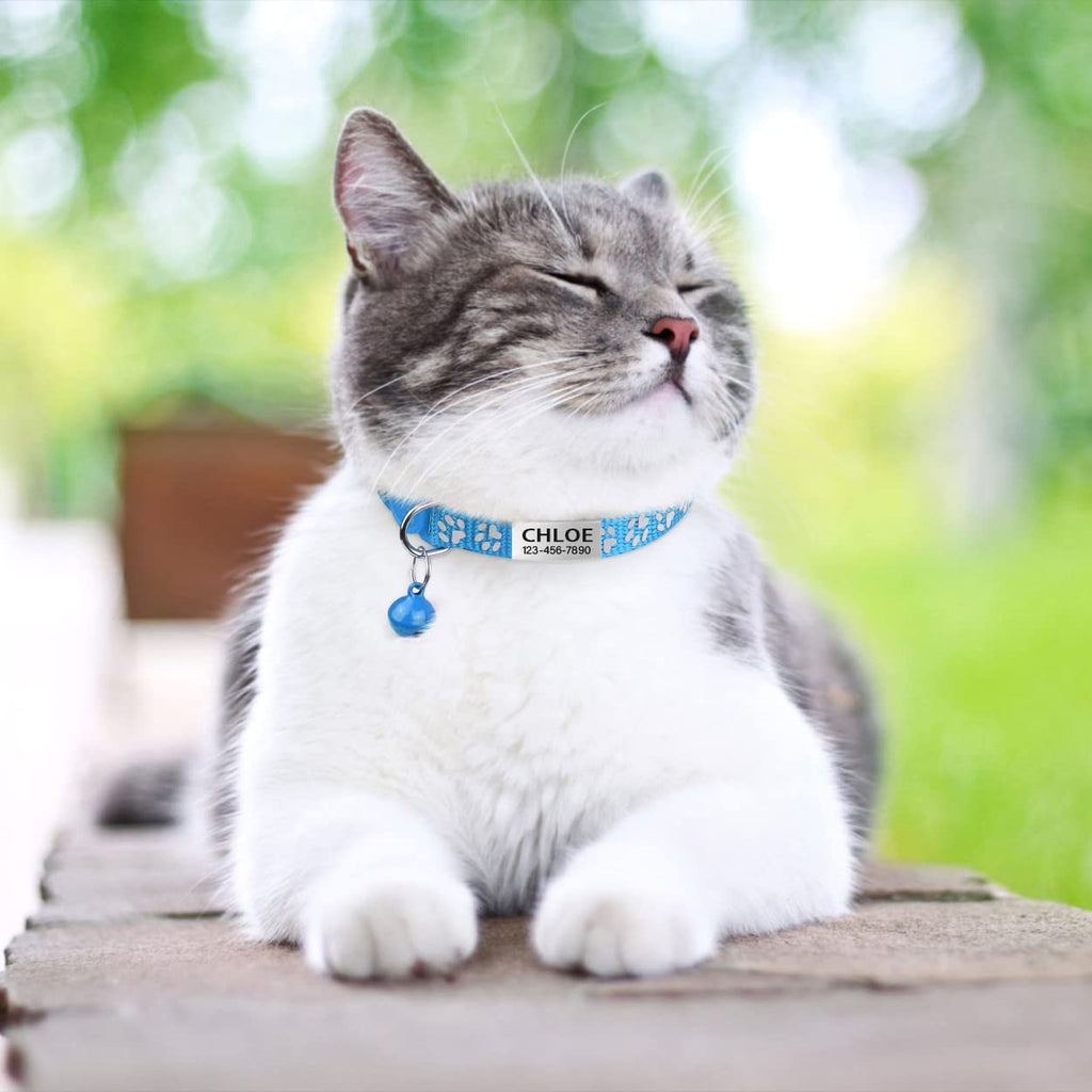 TagME 2 Pack Breakaway Cat Collar, Reflective, Name Tag for Kitten, SkyBlue