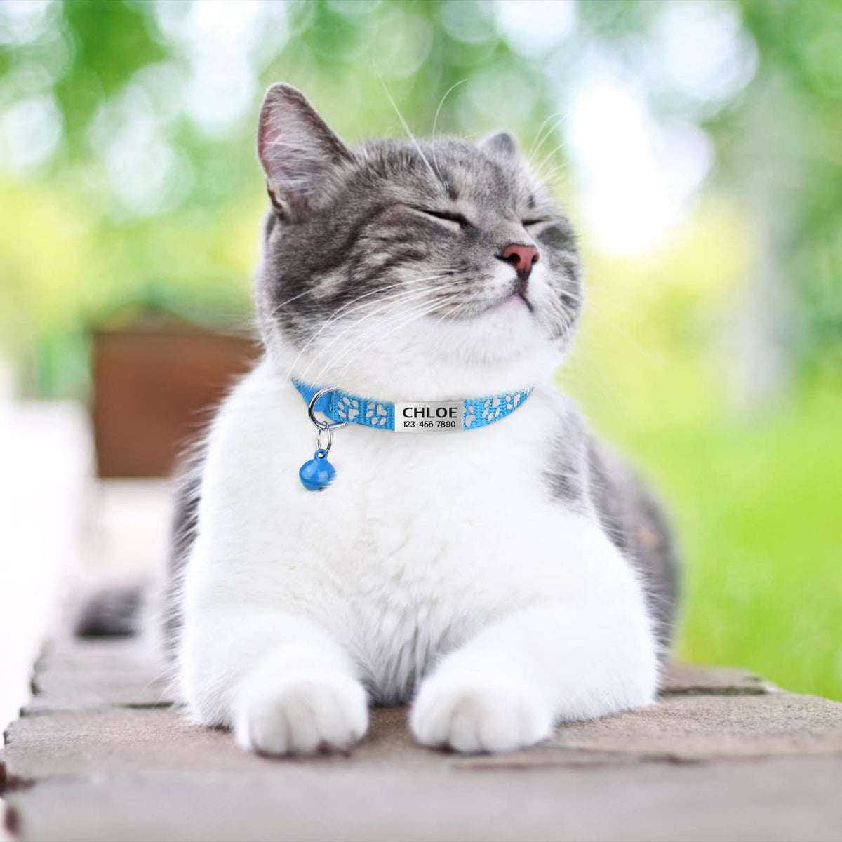 TagME 2 Pack Breakaway Cat Collar, Reflective, Name Tag for Kitten, SkyBlue