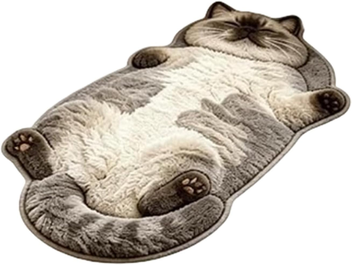 Sleeping Cat Rug Floor Mat, Diatom Mud Door Mat, Mats Large Cartoon