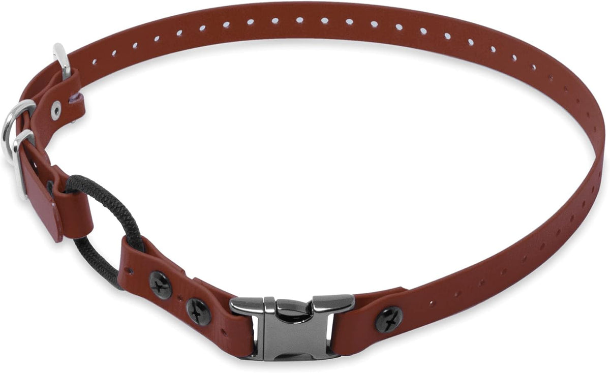 E-Collar Educator 3/4" Quick Snap Bungee Collar Strap, Black
