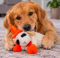 Halloween Plush Lamb 10" Chops Dog Toy with Colored Witch Hat and Paws (Orange)