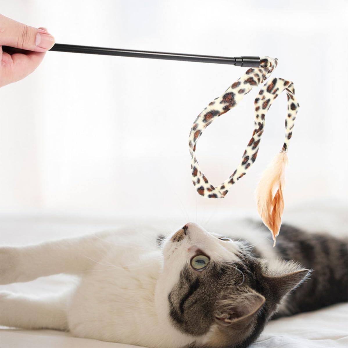 4pcs Leopard Feather Cat Teaser Wand Interactive PET