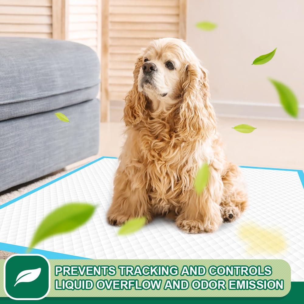 IMMCUTE Puppy Pads 22"x23" 100 Count | 6-Layer Leak-Proof & Super Absorbent Dog Training Pads | Disposable Potty Pads for Puppies, Dogs, Cats & Rabbits | Blue & White