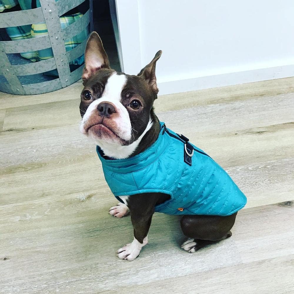Gooby Puffer Vest Dog Jacket, Turquoise, Large