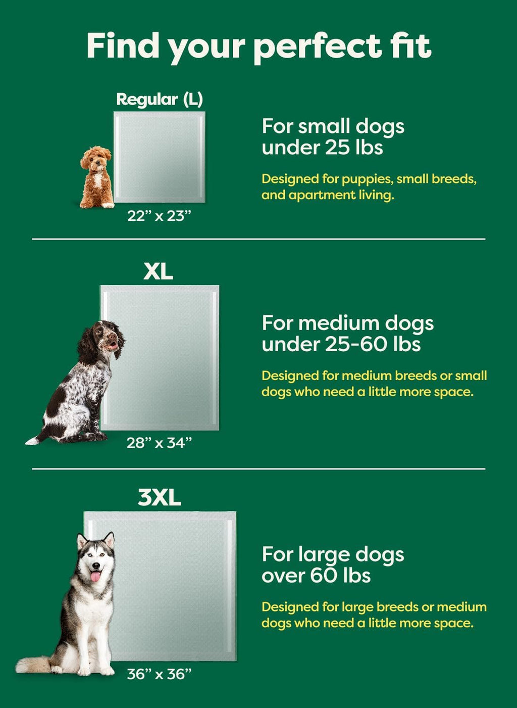 Regular (L) Dog & Puppy Pee Pads, Discreet Top, Max Absorbency, 40CT