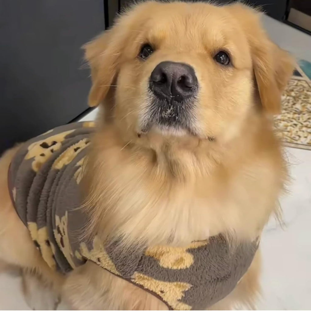 Cute Plush-Lined Pet Vest, Plush Bear Print Dog Vest (White,L)