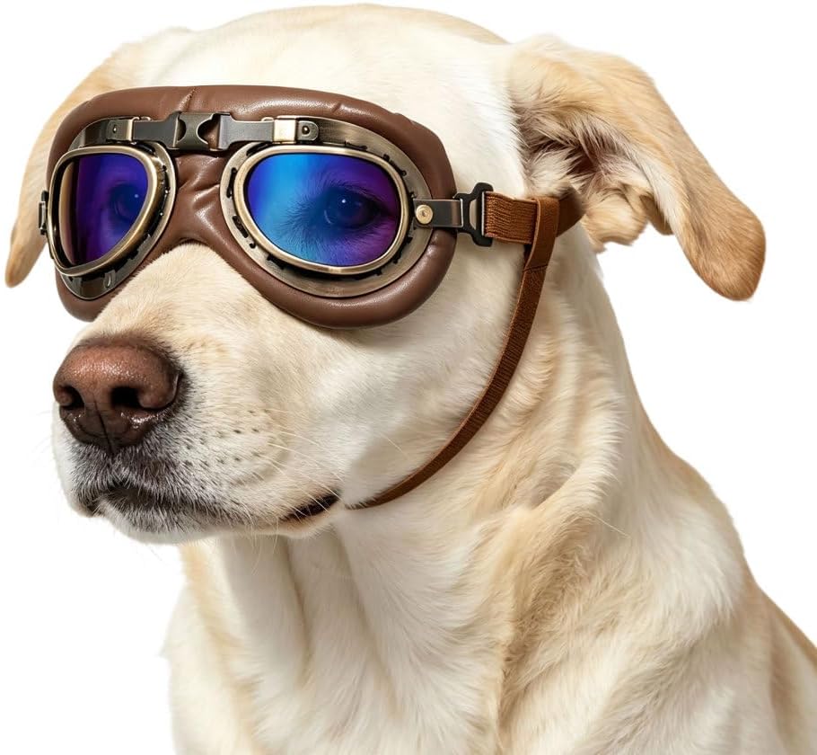 Retro Dog Aviator Sunglasses, Pet Goggles for Medium Large Dogs