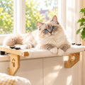 Cat Window Perch, Cordless Window Cat Bed for Indoor Cats, Holds 44 lbs