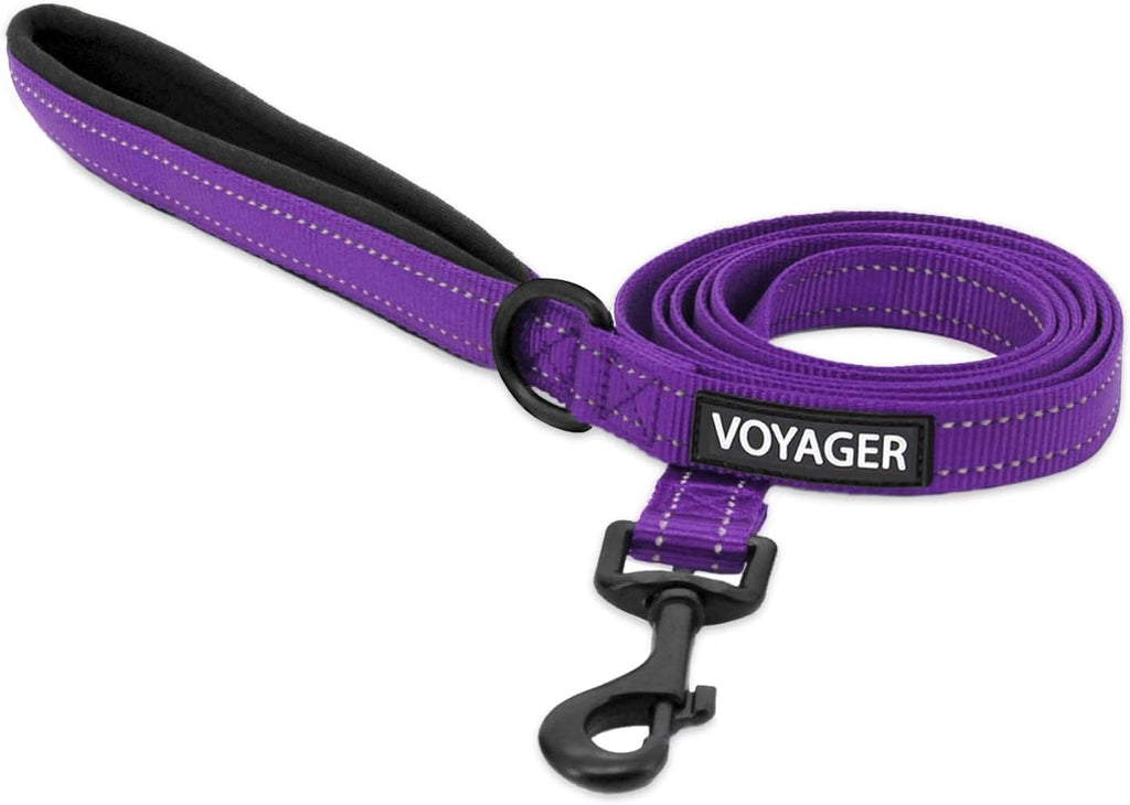 Best Pet Supplies Voyager Nylon Dog Leash - Fuchsia, Small