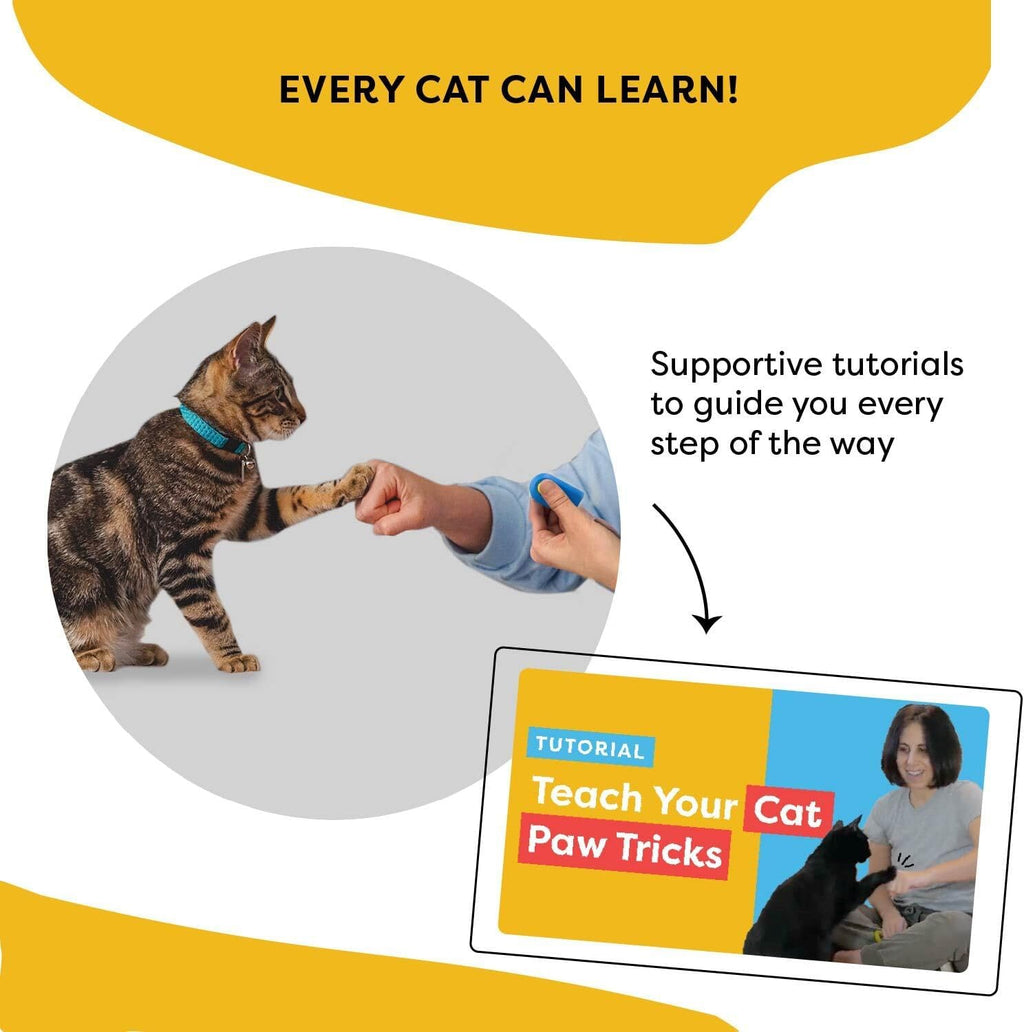 Cat Training Clicker Positive Reinforcement Training Tool