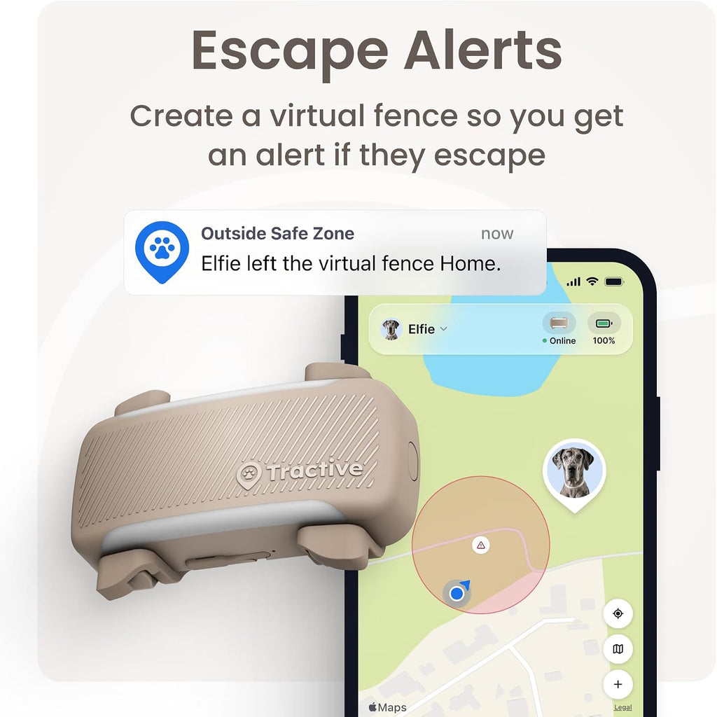 Tractive XL Smart Dog GPS Tracker | Live Pet Tracker with Virtual Fence | Vital Signs Monitoring of Heart & Respiratory 