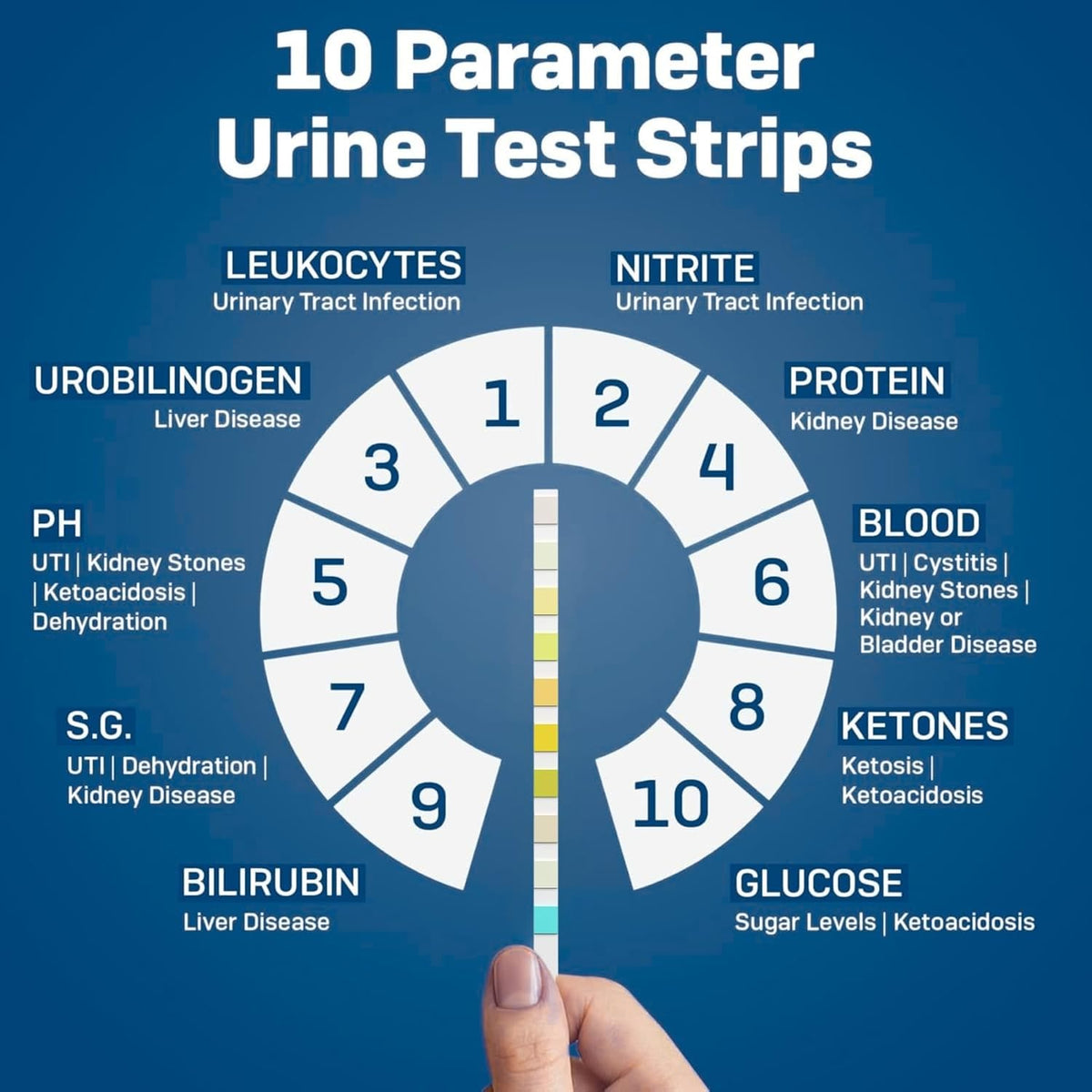 Dog UTI Test Strips for Dogs & Cats, 50 Count 10-in-1 Pet Urinalysis Test Kit, Fast Results Urine Strips for Ketone, Glu