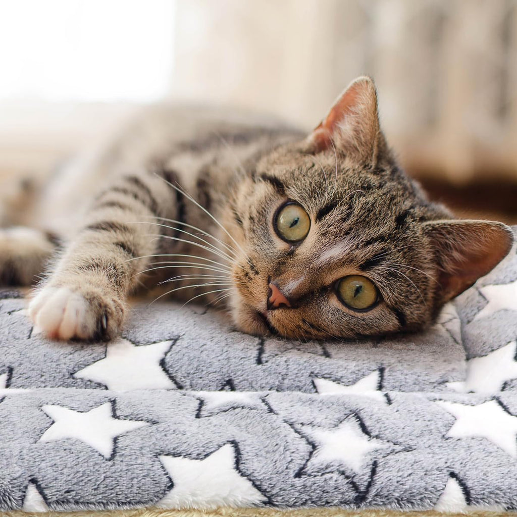 2 Pack Cat Blanket for Indoor Cats, Ultra Soft & Warm Calming Bed