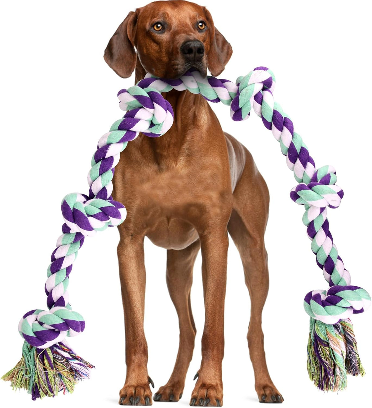 loncoldy Dog Rope Toy 42In 6 Knots Indestructible Natural Cotton - Tough Chew Toys for Medium/Large Breeds Aggressive Ch