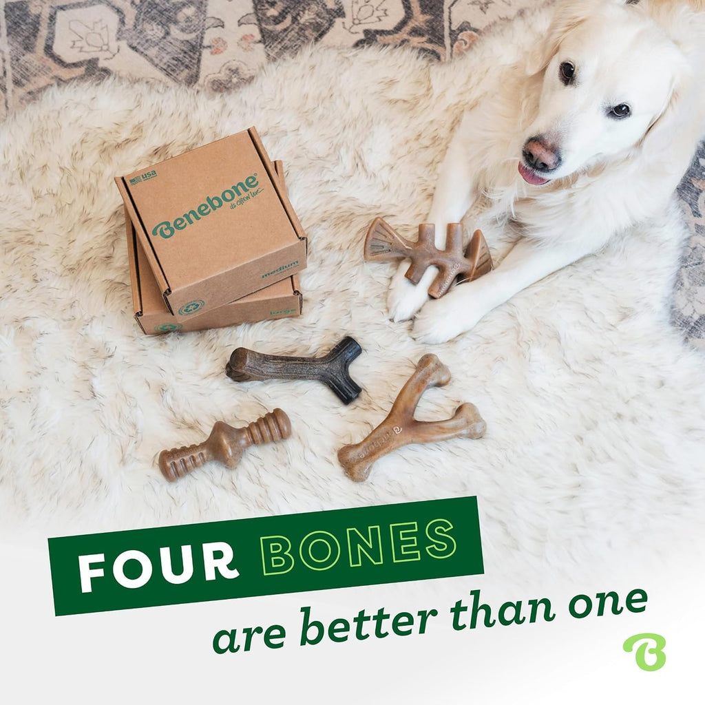 Benebone Medium 4-Pack Dog Toys for Aggressive Chewers – Under 60 lbs