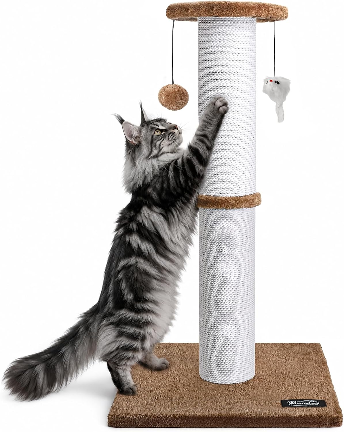 34-Inch Tall Cat Scratching Post for Large Cats, Stable Base, Gray