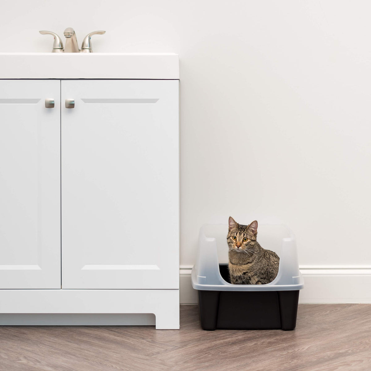 IRIS USA High Sided Cat Litter Box, Large, Scatter Shield, Black