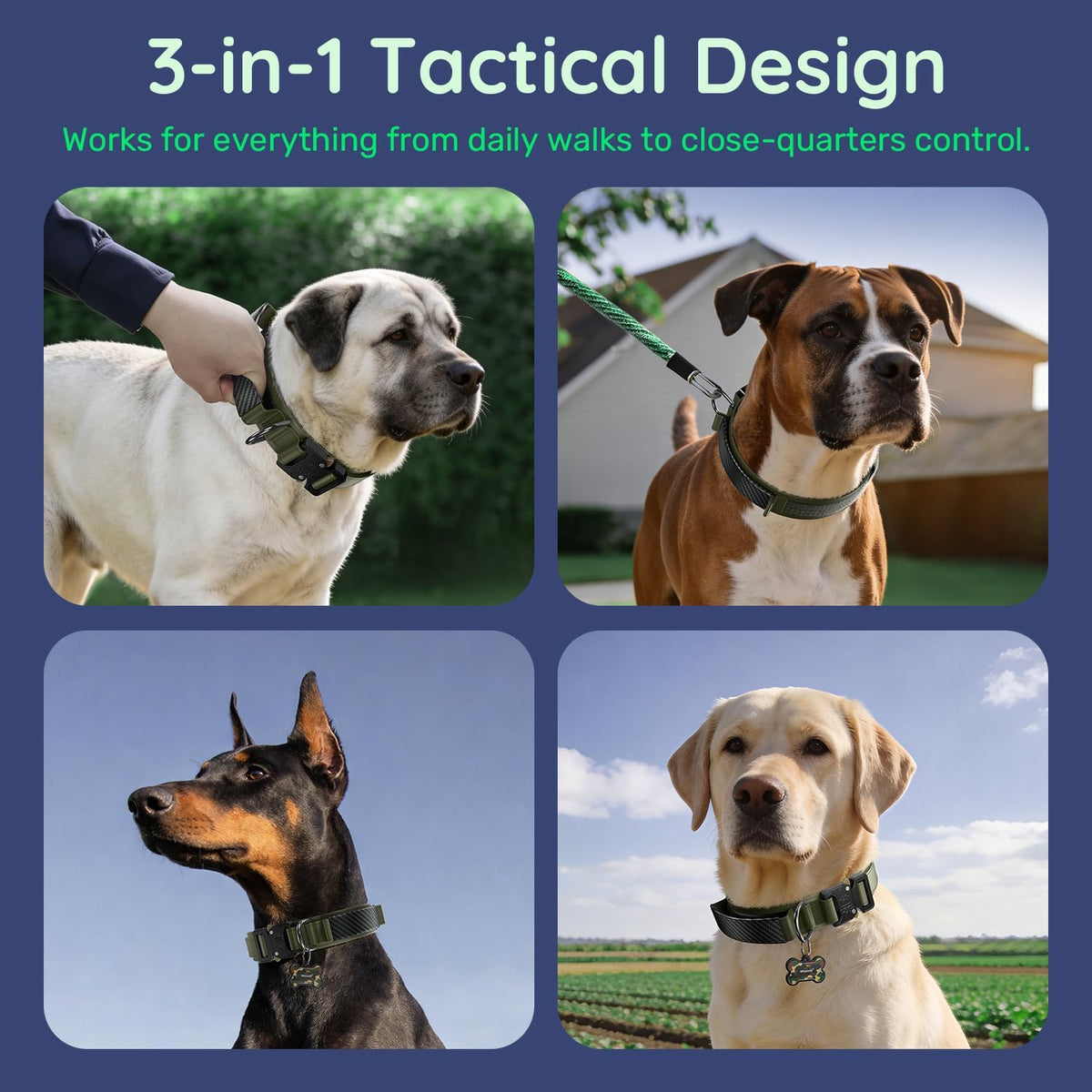 Tactical Dog Collar for Large Dogs with Leather Handle (Army Green, L)